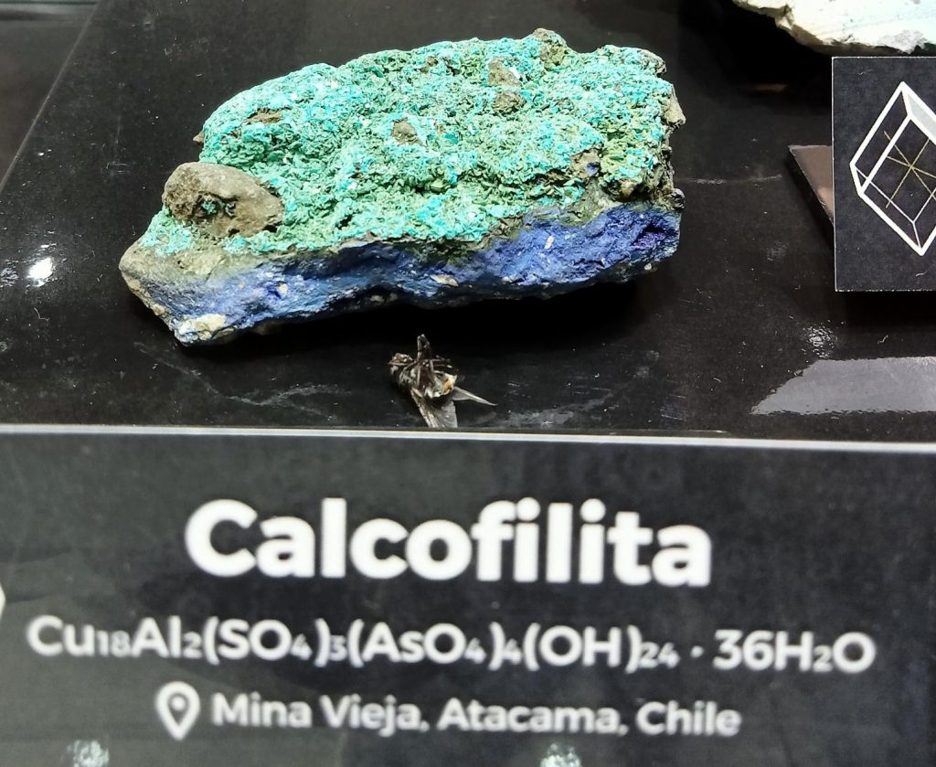 En la calcofilita se encuentra cobre, entre otros minerales