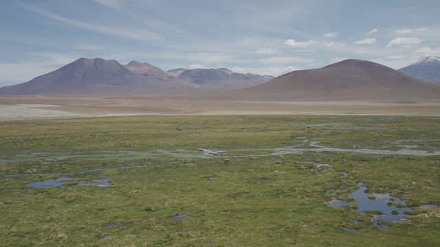 Nace Alianza por los Humedales Andinos para promover su protección y conservación, con énfasis en Argentina, Bolivia y Chile