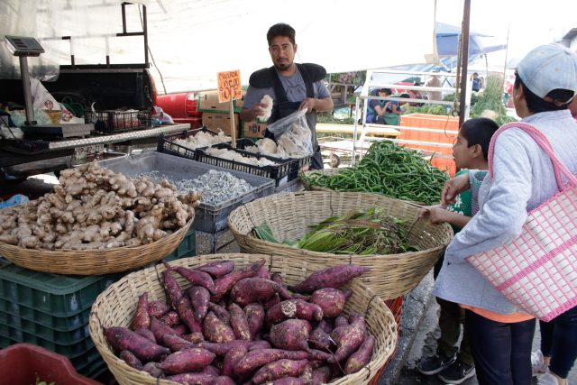 Inflación anual baja a 4.26% en octubre, reporta Inegi