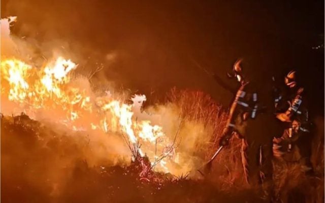 Incendios forestales devastan millones de hectáreas en Bolivia