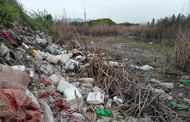 Gravísimo crimen ambiental: Humedal en río Cachapoal fue contaminado con basural de agrotóxicos