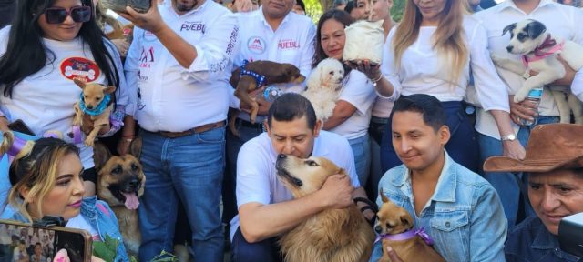 Armenta impulsa a atender y garantizar el bienestar animal