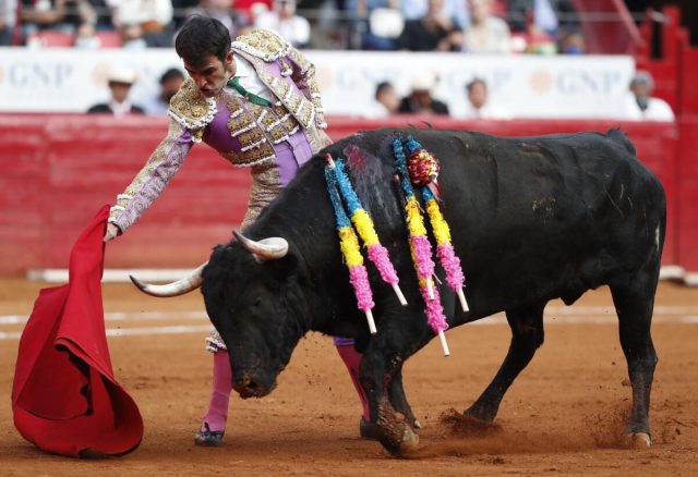 Ordenan suspensión inmediata de corridas de toros en la Plaza México