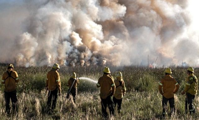 Impactos de la industria forestal y mega incendios en el centro sur: Tribunal Internacional de los Derechos de la Naturaleza sesionará en Concepción