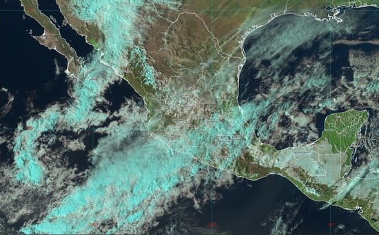 Termina primer mes del 2024 con heladas y temperaturas máximas