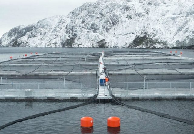 Mar chileno hipotecado por las salmoneras: La verdad de las 587 concesiones en manos de los bancos que también involucra áreas protegidas