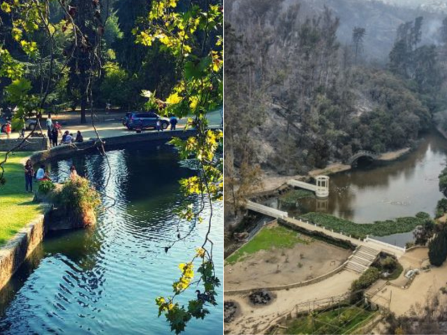 Más de 100 años de antigüedad y cerca de 1.300 especies destruidas: La historia del Jardín Botánico de Viña del Mar que fue arrasado por los incendios forestales