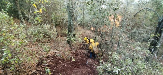 Mitigan incendio en Ixtacamaxtitlán, confirma Segob Puebla