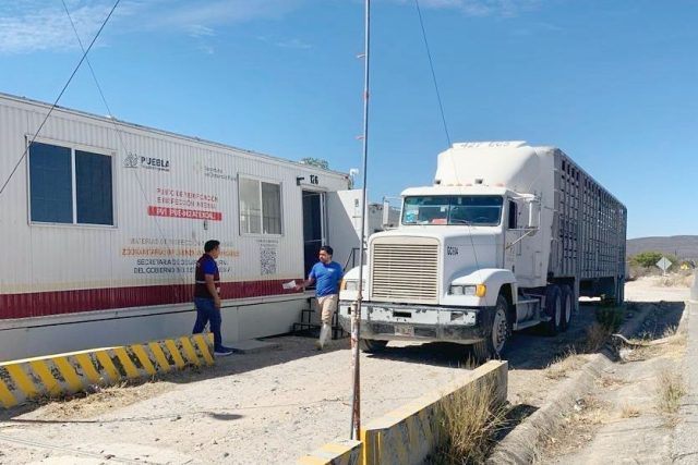 Intensifica SDR inspección y verificación de animales