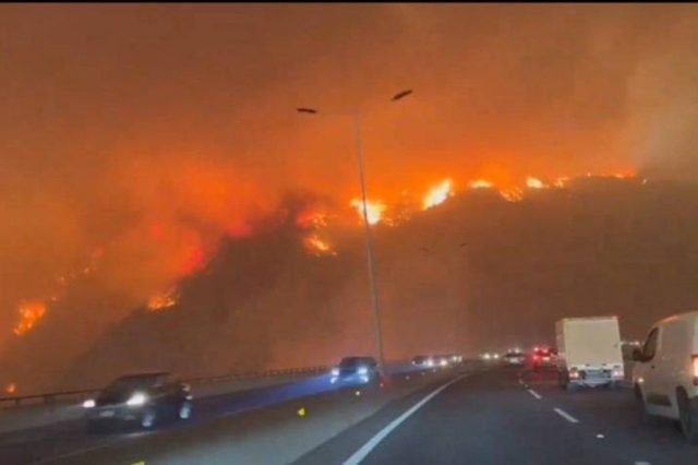 (VIDEO)Las primeras imágenes del Jardín Botánico de Viña del Mar tras el incendio