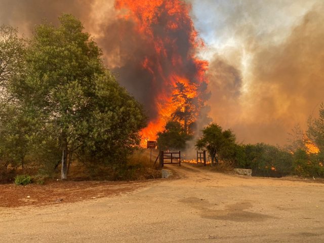 incendios-valparaíso