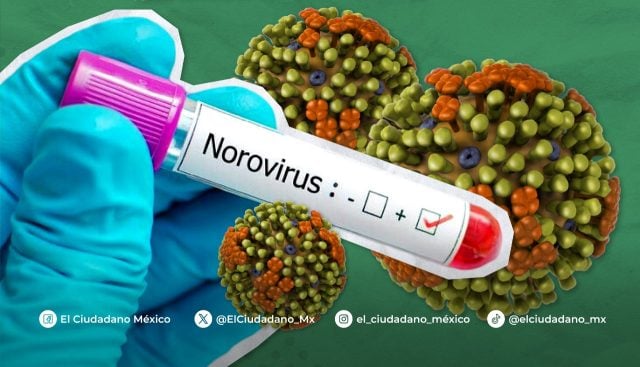 Estados Unidos en alerta por brote masivo de Norovirus, estos son sus síntomas