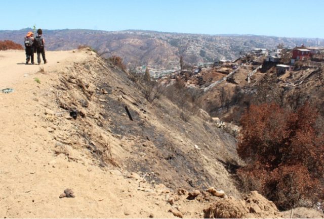 Denuncian “Cartel del Fuego” en la V Región: “Nos quemaron en distintos focos al mismo tiempo”