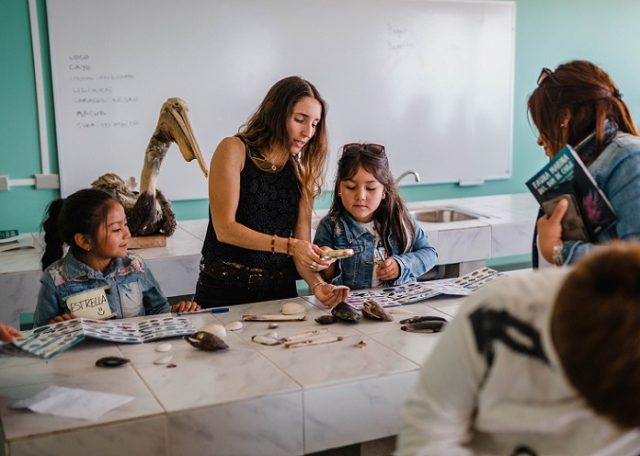 De Chile al Mundo: Oceanósfera, educación marina, entre los cuatro finalistas al premio Ocean Awards 2024