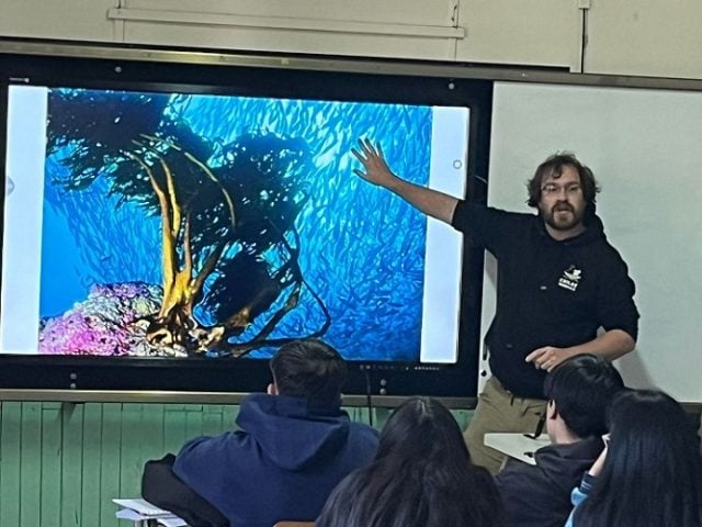 Campaña ‘Bosques Azules’ resalta la educación y conciencia sobre los ecosistemas marinos en Chiloé y la Patagonia