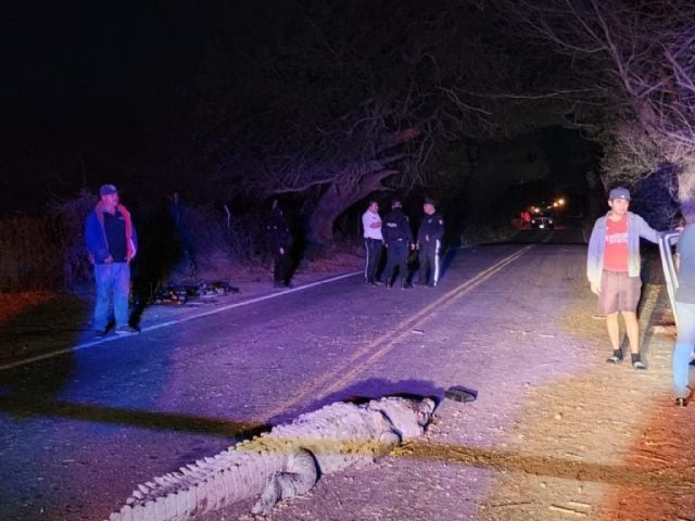 Cocodrilo causa accidente fatal y deja 3 muertos, 4 heridos en Culiacán