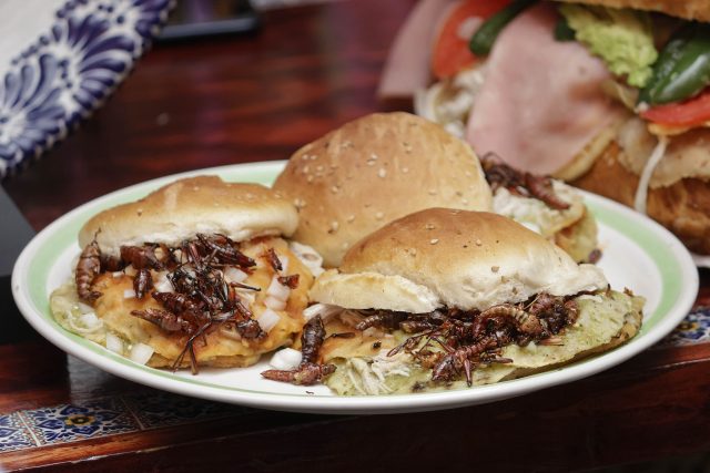 ¡No te quedes con el antojo!, inicia la Feria de la Cemita en El Carmen