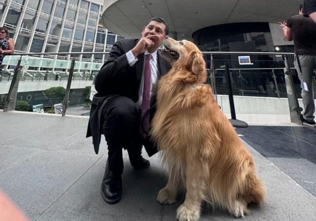 ¿Quién es Tommy Armenta, el perrito del candidato Alejandro Armenta?