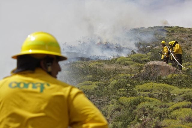 Funcionario de CONAF es detenido por presunta participación en incendios de Valparaíso