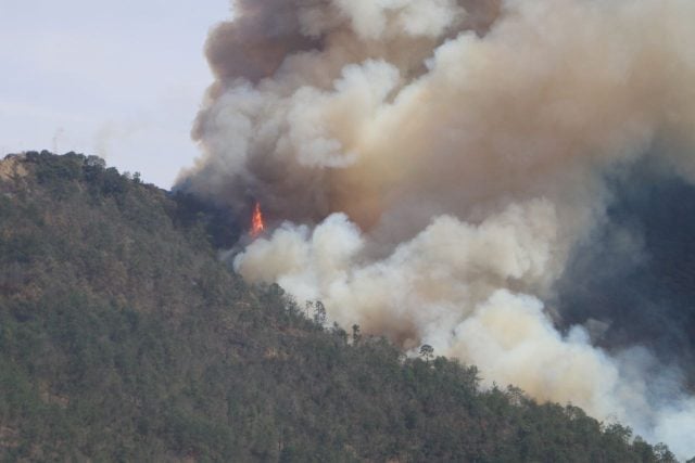 Nuevo incendio en Tetela de Ocampo habría sido provocado