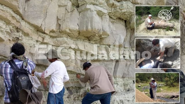 Laboratorio de Paleobiología de la BUAP: Un Viaje por 70 Millones de Años