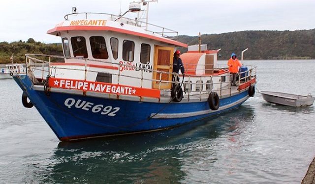 Se viene el Día del Océano: Actividades para conectar con los mares de Chile y su biodiversidad