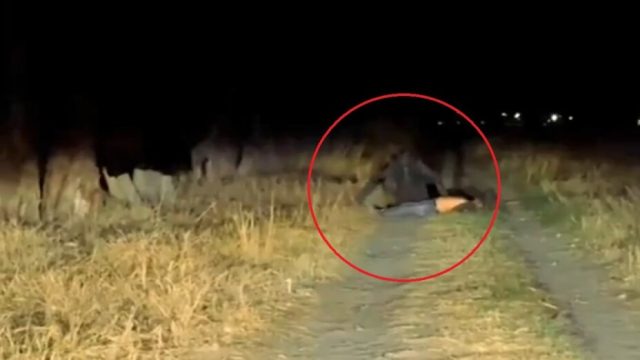 Desatan debate por misteriosa criatura captada en carretera, ¿nahual o montaje? | Video