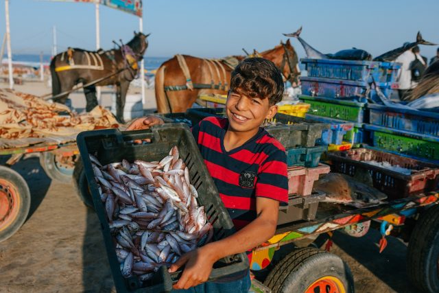 Inauguran exposición sobre la Franja de Gaza