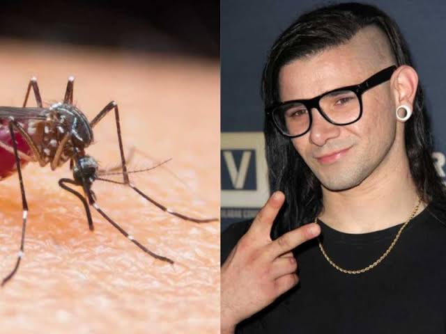 Música electrónica de Skrillex ahuyenta los mosquitos, según ciencia