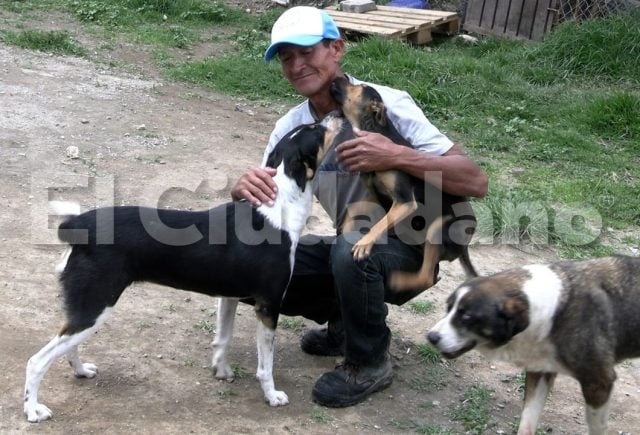 ¡Odisea de Francisco! Caminó de Atlixco a Puebla para salvar a su perrita Huesitos