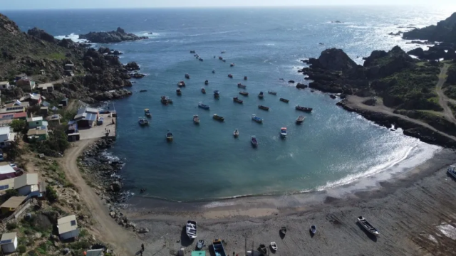 Estado expropiará Caleta Sierra: Salda deuda histórica con pescadores artesanales