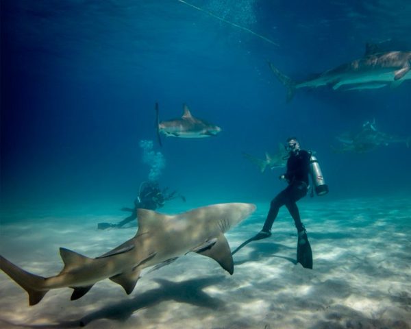 México entre los mejores destinos del mundo para realizar buceo