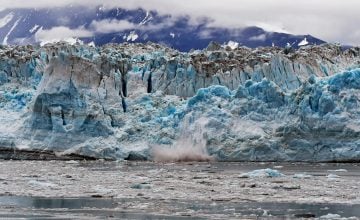 Absalón Opazo