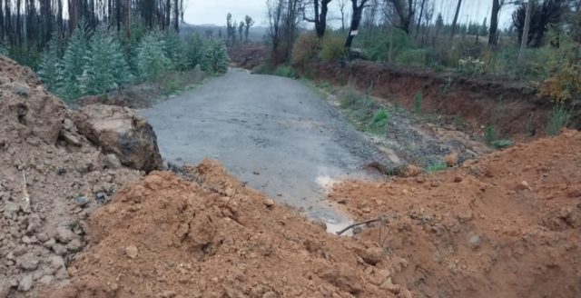 Zanjas de Forestal Arauco generan alarma en comunidades del Biobío