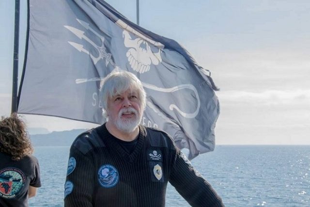 Organizaciones chilenas exigen liberar a activista defensor de ballenas, Paul Watson: Perseguido internacionalmente por Japón