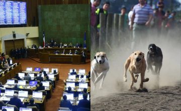 Absalón Opazo