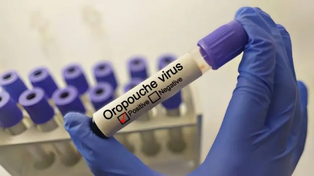 Virus Oropouche o «virus del perezoso» se expande a Estados Unidos