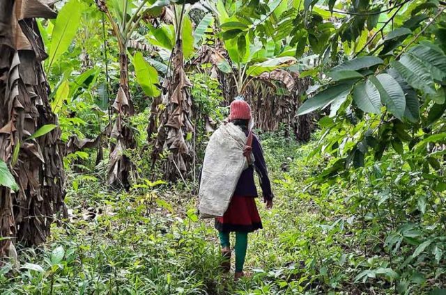 Llaman a preservar saberes ancestrales indígenas de Bolivia para el mundo