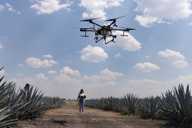 Éxito de drones agrícolas en México: avances y beneficios