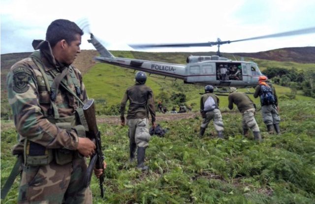 Perú: destrucción ilegal de hoja de coca llega a 14 mil 551 hectáreas