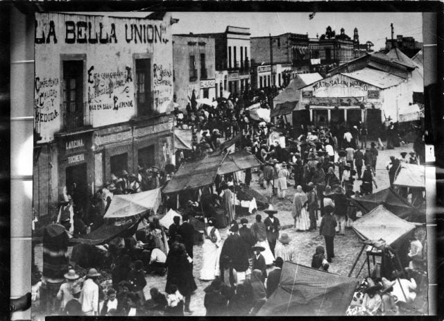 Las carpas mexicanas: Historia olvidada y nueva exposición reveladora