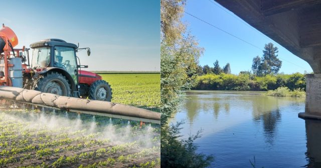 Denuncian contaminación por plaguicidas en ríos de las regiones del Maule y Ñuble