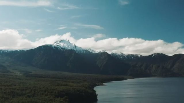 Alarma ambiental: Acusan al Gobierno de ceder ante presiones económicas en reforma de Ley Ambiental