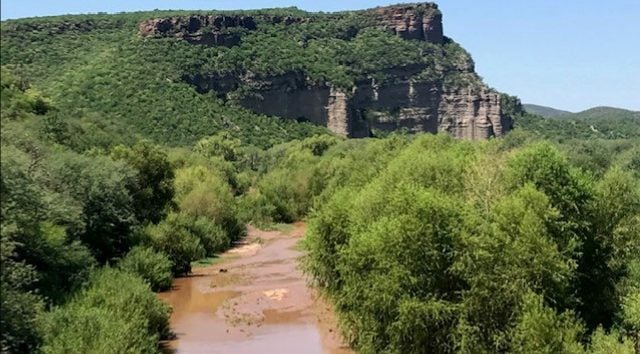 Presidente promete justicia en caso de desastre ambiental en Sonora: «no habrá carpetazo»