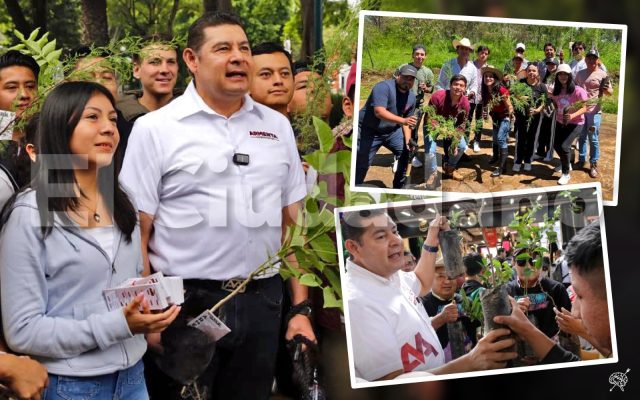 Armenta emprende «Sembremos Esperanza», ¡macro reforestación en Puebla!