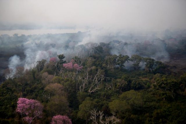 Llegan a Bolivia 60 brigadistas venezolanos para combatir incendios forestales