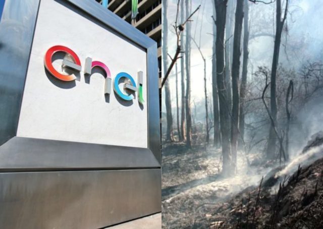 PDI vincula a ENEL con incendio forestal en Monte Patria donde se quemaron 30 casas