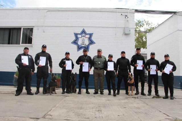 Certifican a policías estatales poblanos en adiestramiento canino y detección de drogas y explosivos