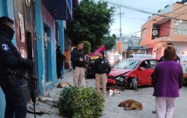 Automóvil choca contra vivienda y deja 2 perros graves en San Pablo Xochimehuacan