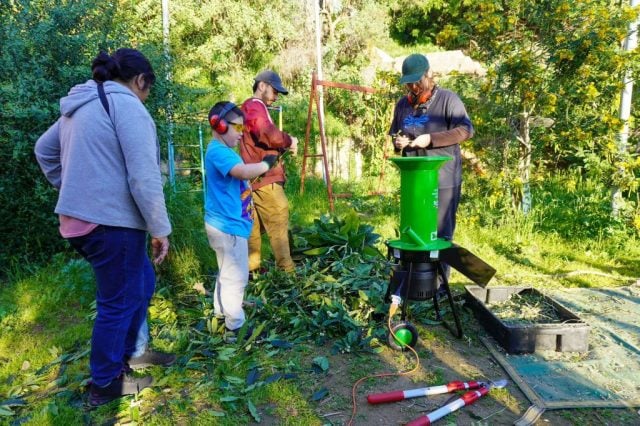 Festival Nativa V: Arte y naturaleza se unen en una experiencia comunitaria en Valparaíso